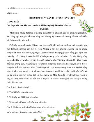 Phiếu bài tập tuần 11 môn Tiếng Việt Lớp 3