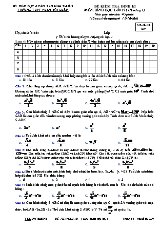 Đề kiểm tra định kỳ chương I môn Hình học Lớp 12 - Mã đề 209 - Trường THPT Phan Bội Châu