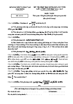 Đề thi chọn học sinh giỏi cấp tỉnh môn Toán Lớp 12 - Đề số 1 - Năm học 2016-2017 - Sở GD&ĐT Cao Bằng