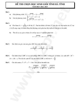 Đề thi chọn học sinh giỏi cấp tỉnh môn Toán - Năm học 2012-2013 (Có đáp án)