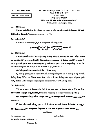 Đề thi chọn học sinh giỏi THPT cấp tỉnh môn Toán Khối 12 - Năm học 2018-2019 - Sở GD&ĐT Ninh Bình