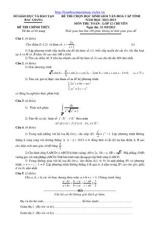Đề thi chọn học sinh giỏi văn hóa cấp tỉnh môn Toán Lớp 12 chuyên - Năm học 2012-2013 - Sở GD&ĐT Bắc Giang (Có đáp án)