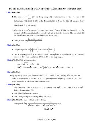 Đề thi học sinh giỏi môn Toán Lớp 12 - Năm học 2018-2019 (Có đáp án)