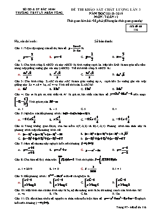 Đề thi khảo sát chất lượng lần 3 môn Toán Lớp 12 - Mã đề 116 - Năm học 2018-2019 - Trường THPT Lý Nhân Tông