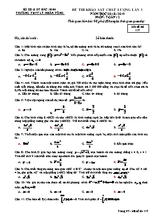 Đề thi khảo sát chất lượng lần 3 môn Toán Lớp 12 - Mã đề 117 - Năm học 2018-2019 - Trường THPT Lý Nhân Tông