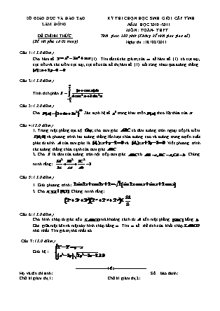 Đề thi môn Toán Lớp 12 - Kỳ thi chọn học sinh giỏi cấp tỉnh - Năm học 2010-2011 - Sở GD&ĐT Lâm Đồng (Có đáp án)