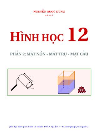 Tài liệu ôn tập môn Hình học Lớp 12 - Nguyễn Ngọc Dũng